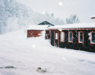 新阅读|猫冬往事