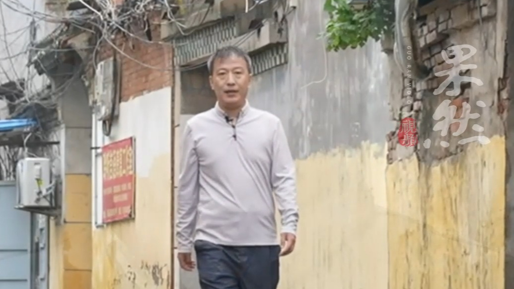 果然视频|魏新：在被流量裹挟的时代，做文化的摆渡者