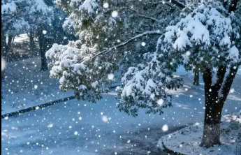 山东25日夜至26日自西向东迎明显雨雪，鲁南局部有大雪