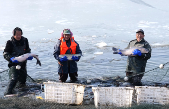 年“味”｜破冰迎春鱼满仓 生态渔歌唱新章