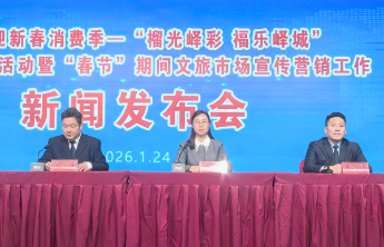 贺年会期间，峄城区拟开展五场促消费活动