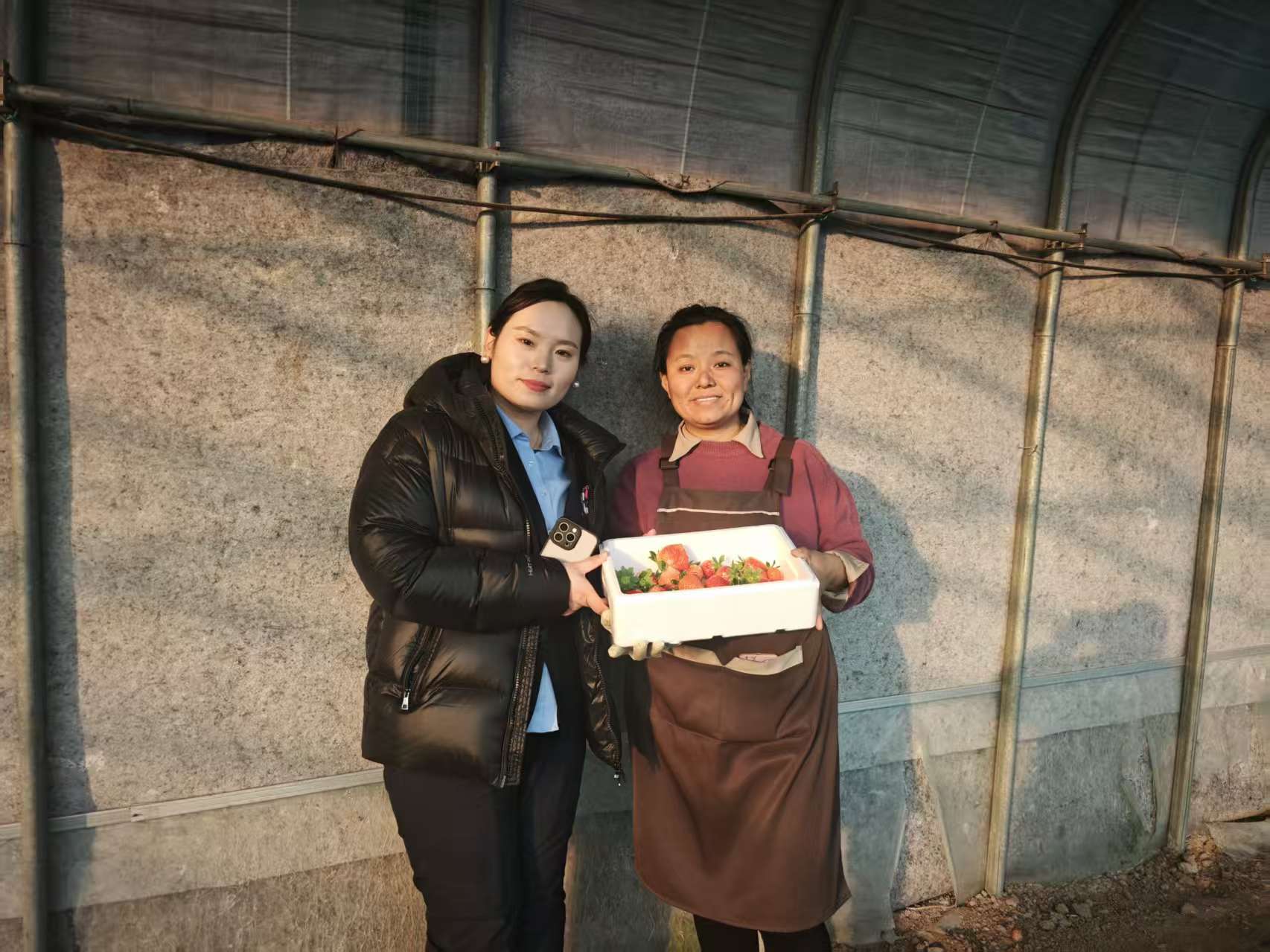 农商助力“莓”好同行，邹平农商行用温度与担当绘就乡村振兴图景