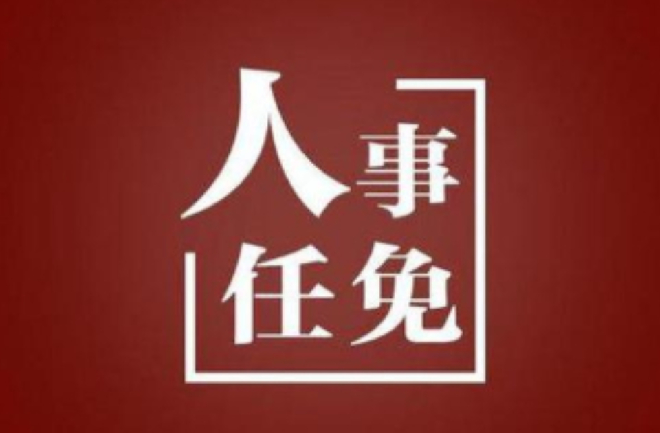 山东省人民政府最新人事任免