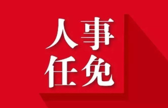 山东省人民政府发布一批人事任免