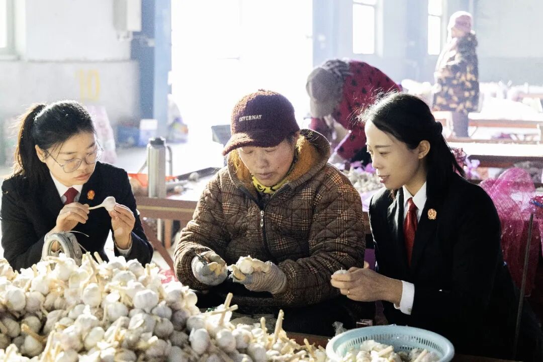 金乡县人民法院：一宗大蒜购销案背后的司法温度