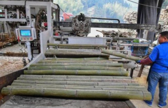 我国竹产业年产值超5200亿元