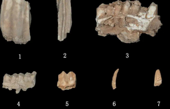 2025年度山东省五大考古新发现初评结果揭晓