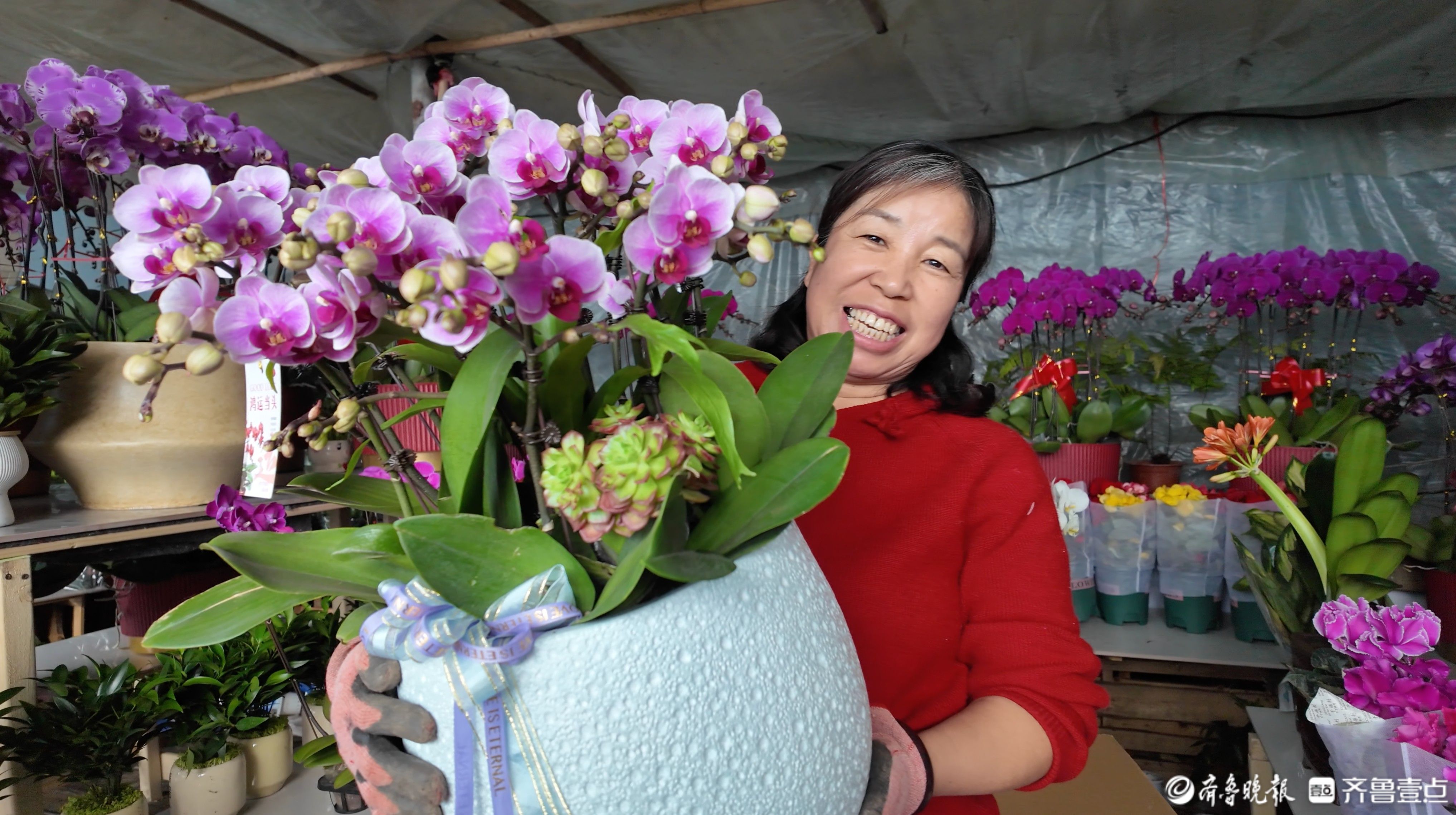 花香满溢，年味渐浓，聊城年宵花市迎销售黄金期
