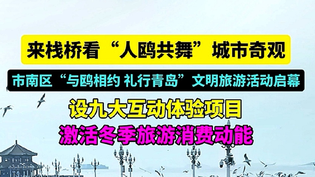 果然视频丨市南区“与鸥相约 礼行青岛”文明旅游活动启幕