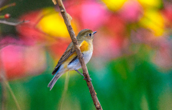 壹点日历2.2|每一份付出，都在悄悄铺垫未来的路！早安