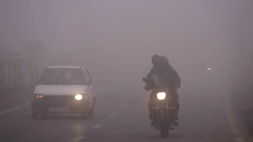 视频｜山东省气象台发布大雾黄色预警，局部地区能见度低于50米