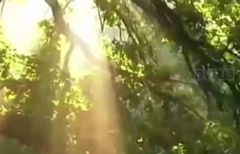 未来三天我国多地进入“升温模式”，天气干燥需注意补水润燥