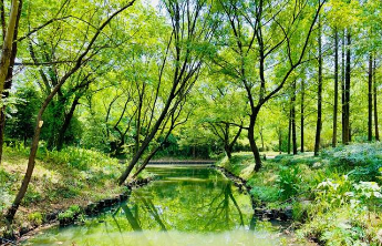 我国已设立903处国家湿地公园，约90%向公众免费开放