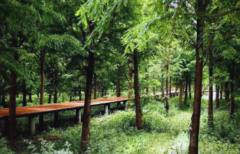 我国湿地面积居亚洲第一、世界第四