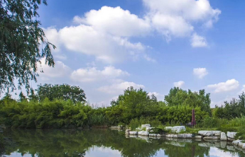 去哪儿旅行：2026春运今日开始，2月7日将迎首个出行高峰