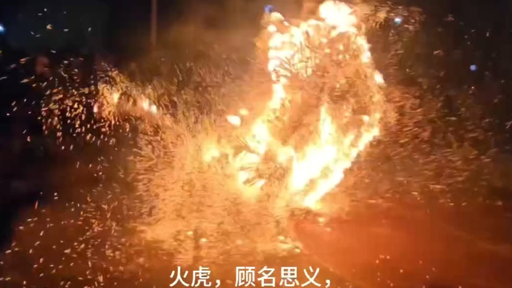新春随手拍|非遗“火虎”