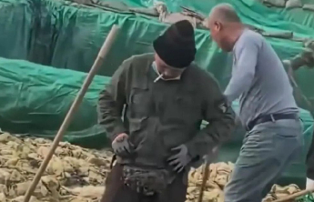 工人在酸菜池中抽烟吐痰：企业被责令停产，负责人被罚百万元