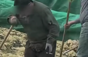 员工吐口痰，老板被罚100万！酸菜池吐痰抽烟后续来了