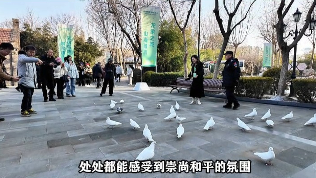 潍坊国际和平文化推广年|潍坊与芷江侗族自治县共话和平