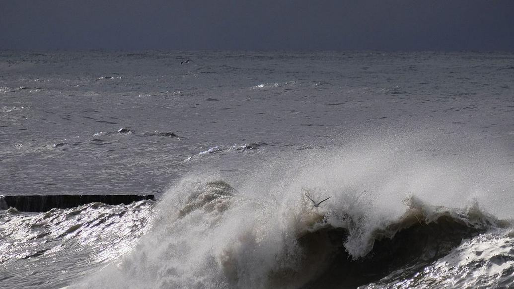 果然视频|山东海域大风预警升级