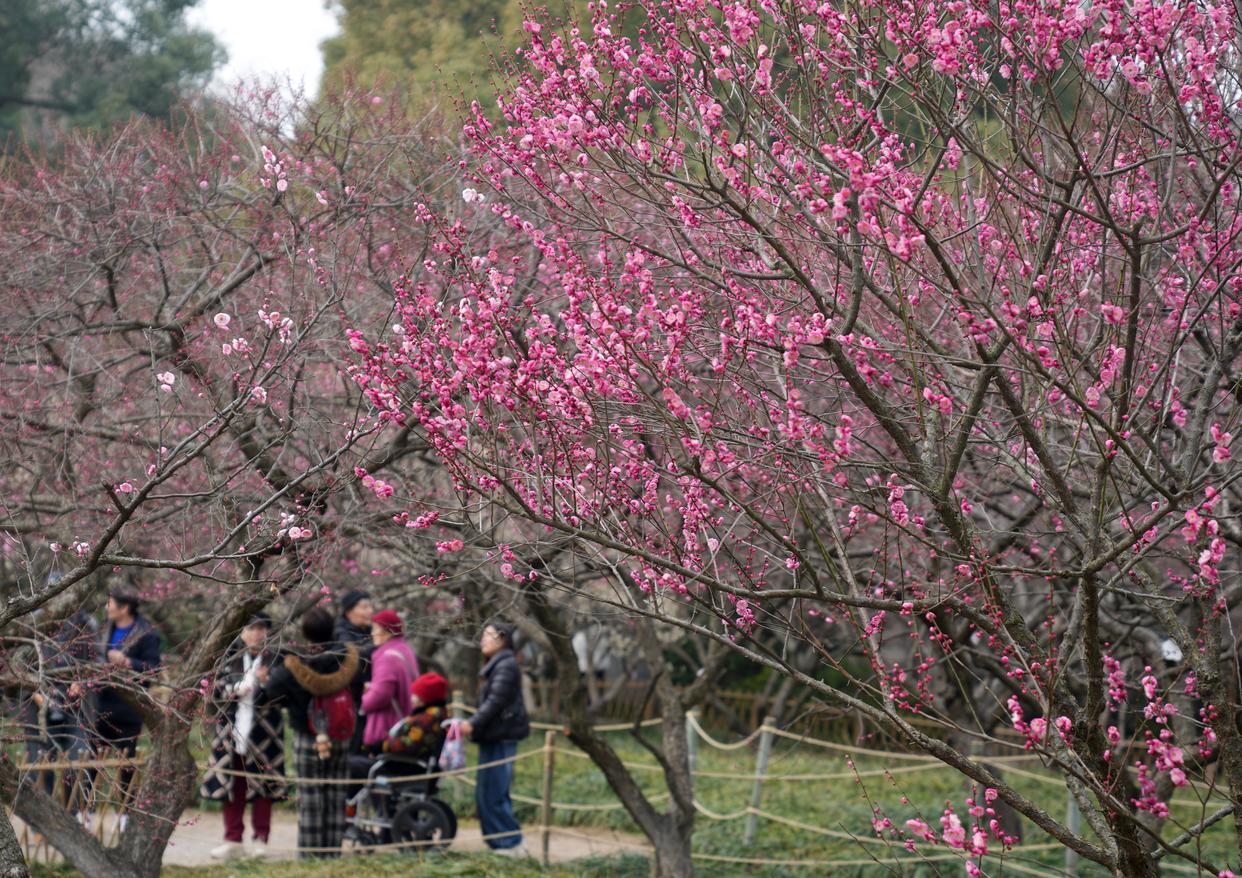 立春到，中医教你“唤醒”身体