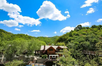 山东蓝天保卫战交出历史性答卷，启动新一轮“四减四增”行动