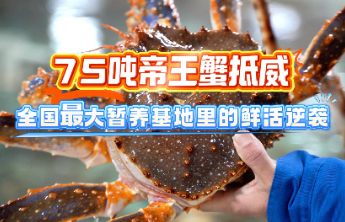 新春走基层｜75吨帝王蟹抵威，昔日“帝王价”今日端上百姓桌