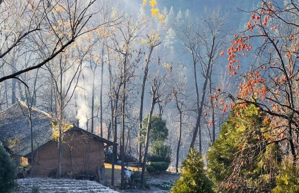 读城记|素描冬天