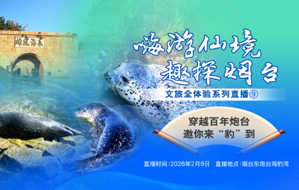 壹直播|穿越百年东炮台，邀你来烟台“豹”到，看海洋精灵撒欢