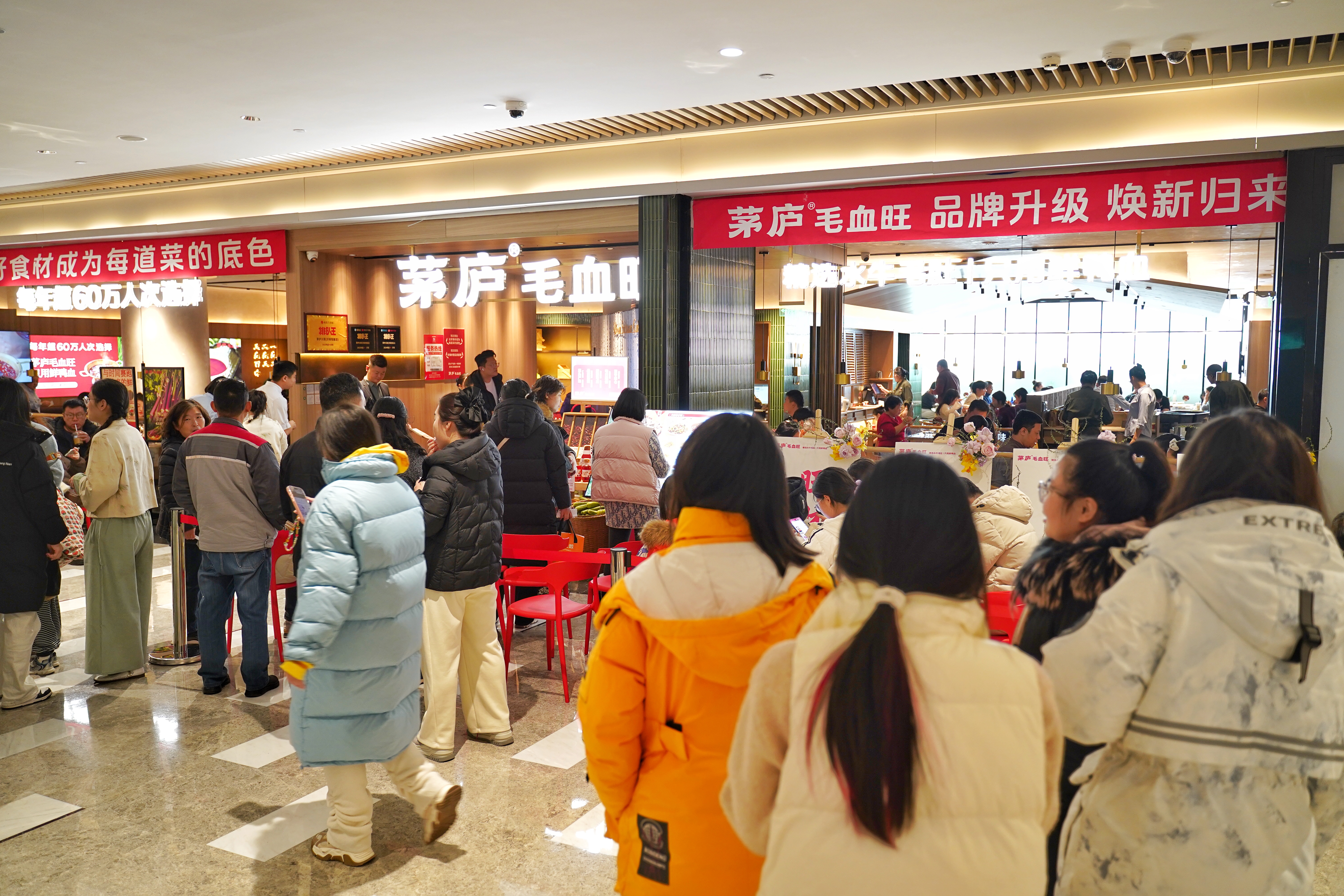 排队3小时，翻台近10轮！一锅“寻鲜”毛血旺，为何引爆济南？