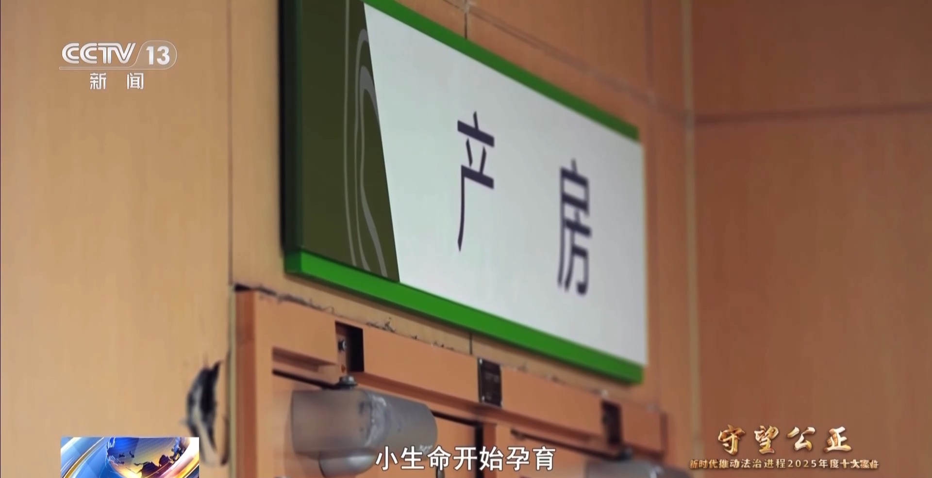 父亲去世“试管婴儿”获工亡抚恤金，案件细节公布
