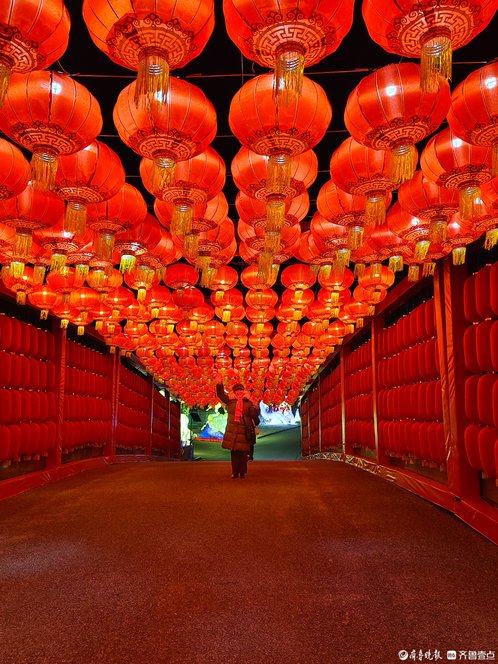 新春随手拍|一廊红火半城年味(手机摄影)