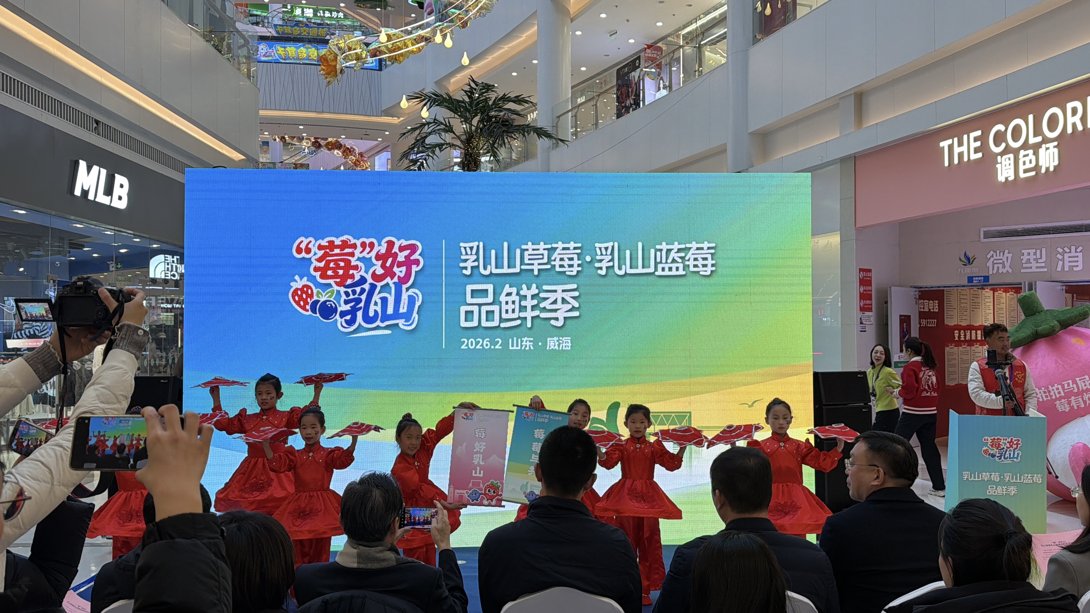 “莓”好乳山焕新启幕！乳山草莓·乳山蓝莓品鲜季正式启动