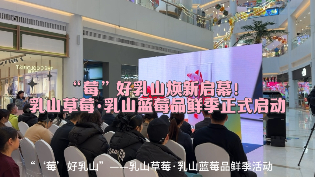 果然视频｜乳山草莓·乳山蓝莓品鲜季正式启动