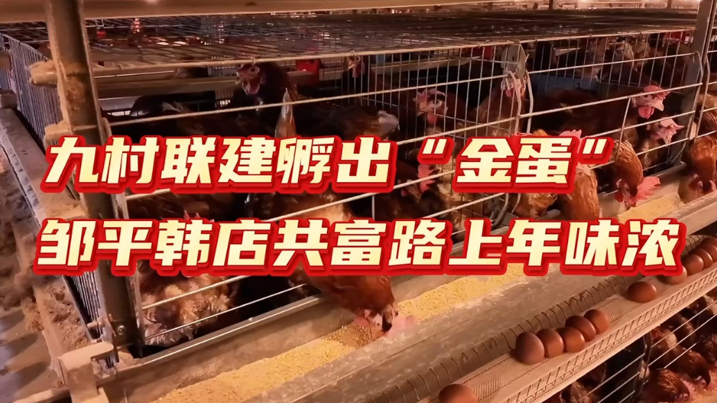 新春走基层｜九村联建孵出“金蛋” 邹平韩店共富路上年味浓