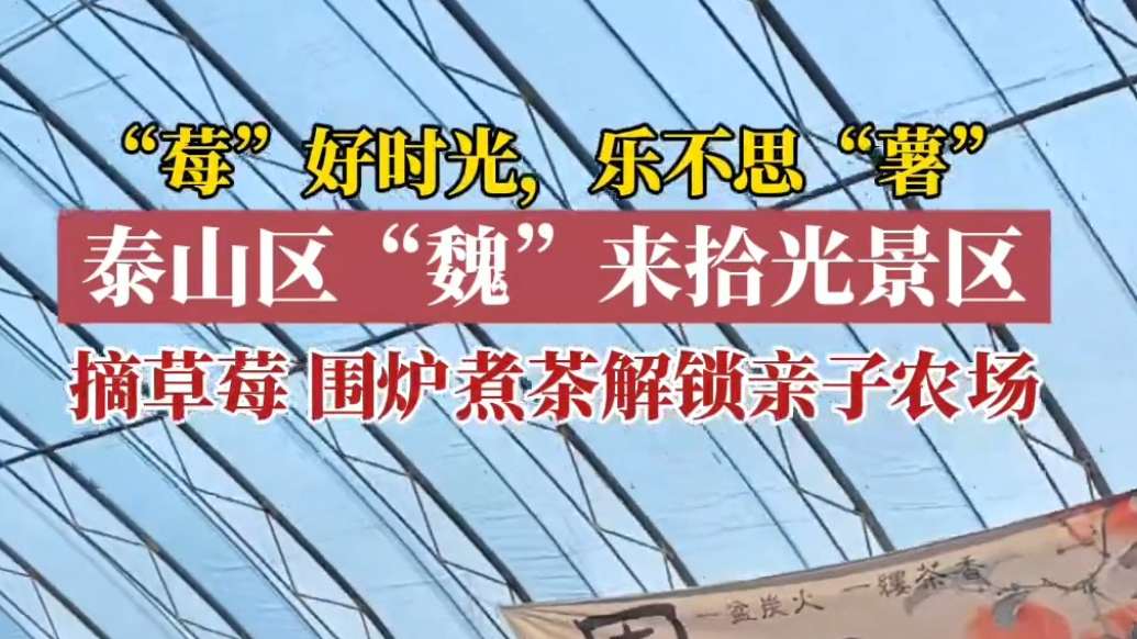 果然视频丨“莓”好时光 乐不思“薯”，来泰山区“魏”来拾光景区，摘草莓、围炉煮茶，解锁亲子农场