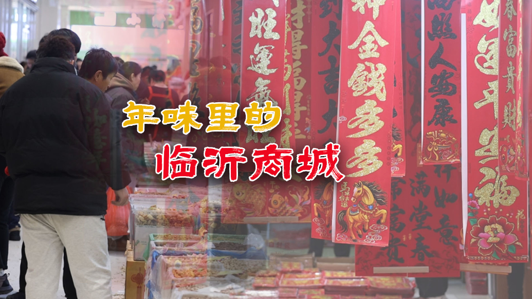 果然视频|年味里的临沂商城