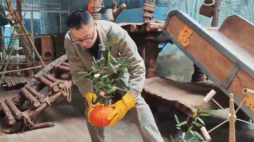 果然视频|动物视界（473）动物园里的小年快乐“食”光