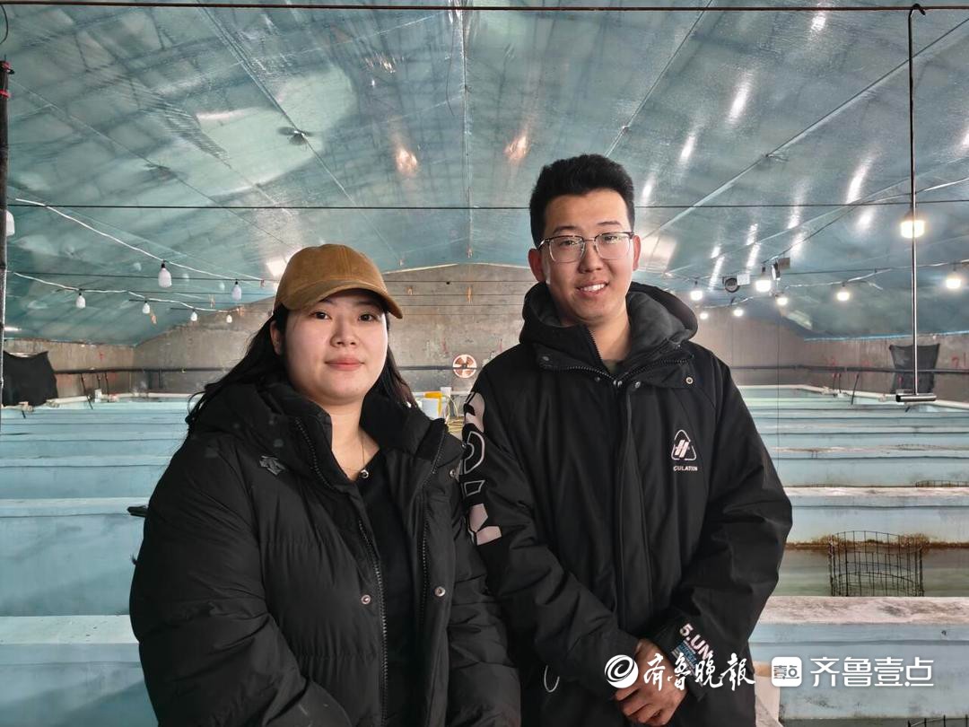 新春走基层丨青岛“00后”情侣跨界养海马，年销200多万元