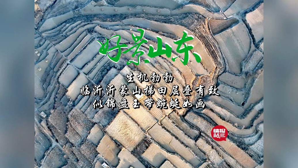 果然视频·好景山东|临沂沂蒙山梯田层叠有致，似锦盘玉带美如画