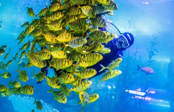 马年寻福到市南！青岛多家景区推属马专属福利