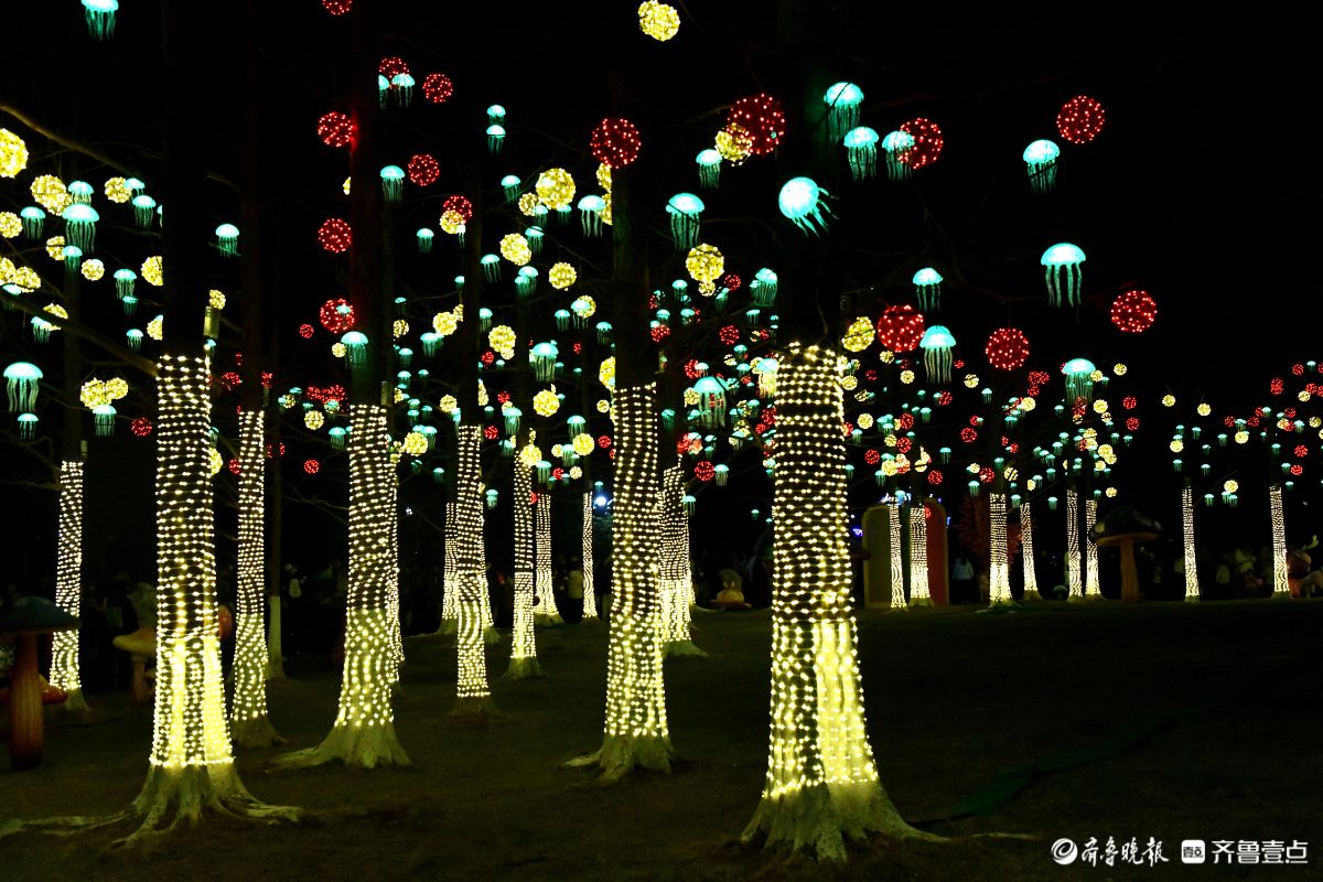 花灯初上年味浓