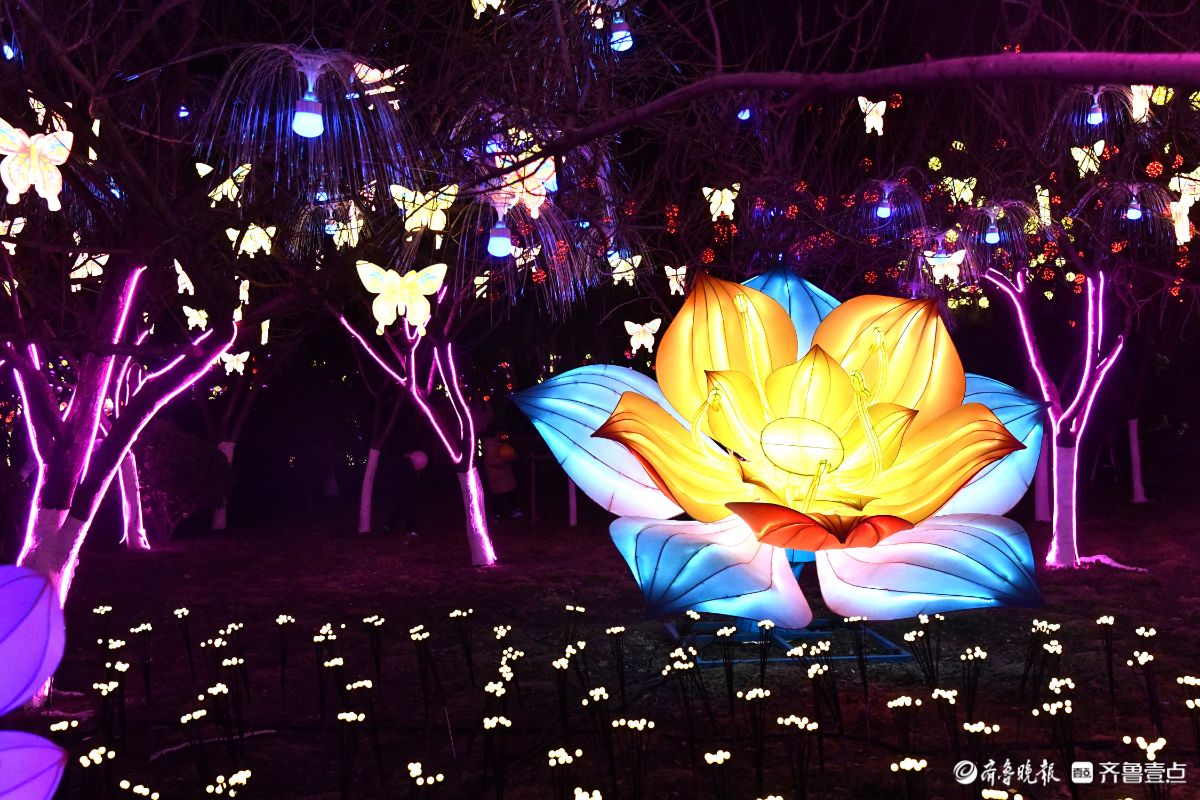 花灯初上年味浓