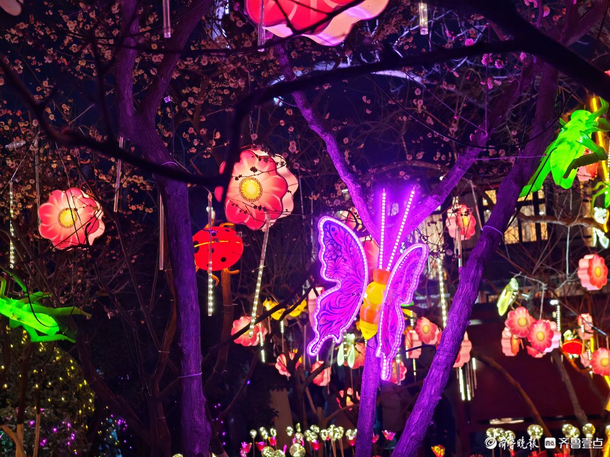 花灯初上年味浓