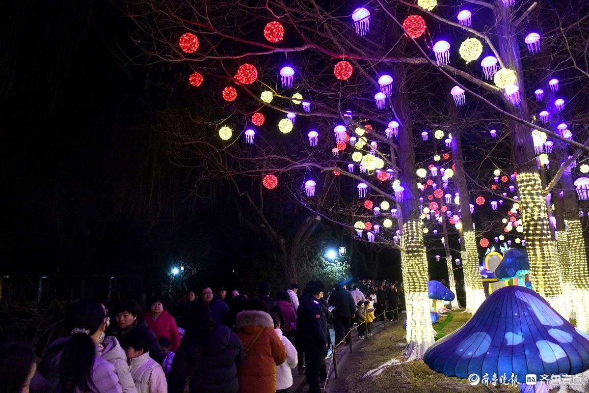 花灯初上年味浓