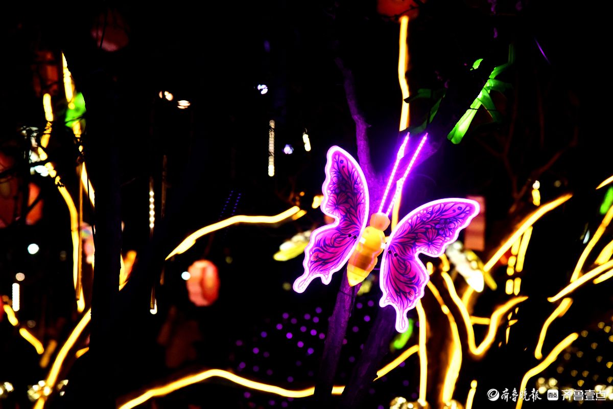 花灯初上年味浓