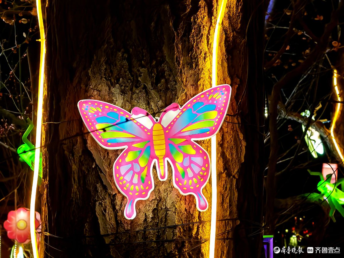 花灯初上年味浓