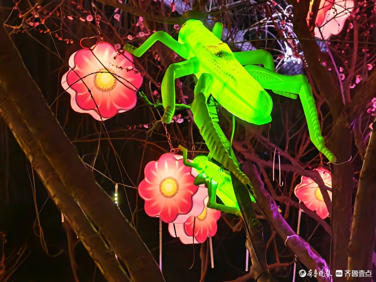 花灯初上年味浓