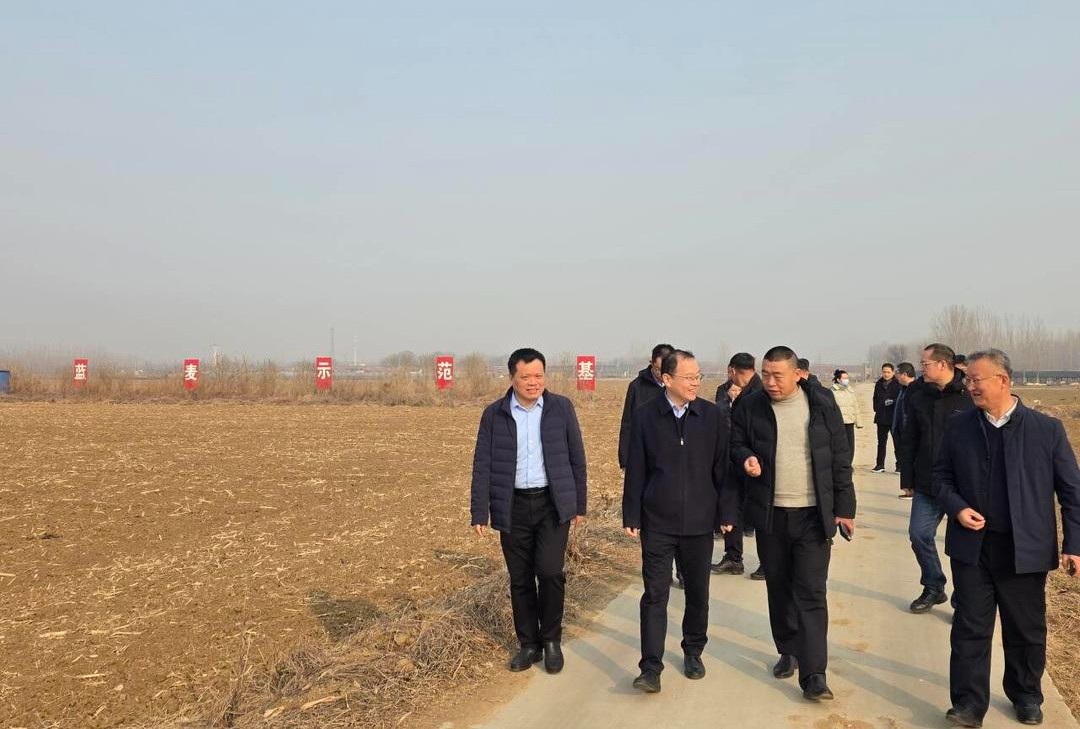 深耕“三农”守初心，周村农商银行走访调研护航春耕备耕