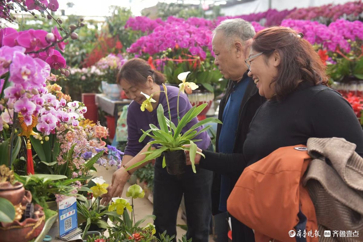 新春随手拍|花香迎新春， “百合”花热销